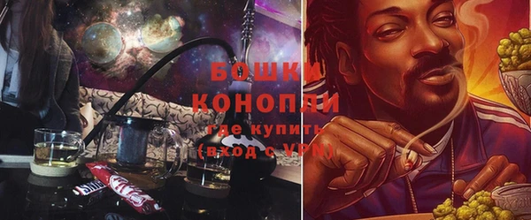 спайс Магас