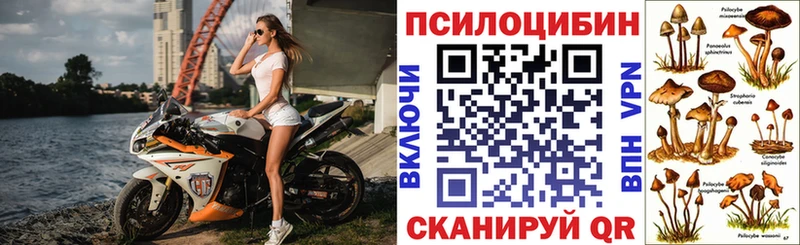 hydra ссылка  Щёкино  Галлюциногенные грибы прущие грибы 
